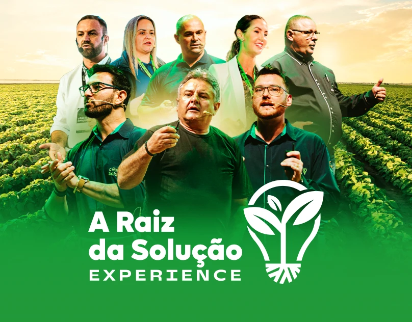 Raiz